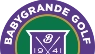 TV Logo