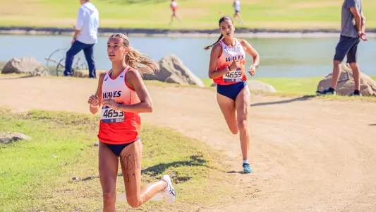 hodgson simpson waves invite