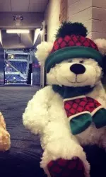 Fans get to throw their Teddy Bears at halftime vs. Youngstown St. with a chance to win prizes