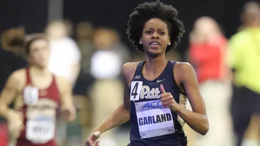 Desiree Garland