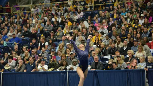 Gymnastics Crowd 2017