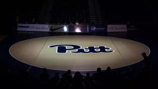 Wrestling Mat
