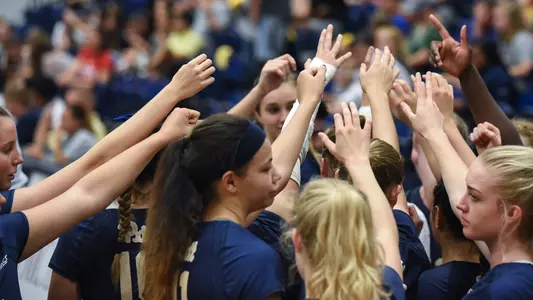 Pitt Volleyball Team