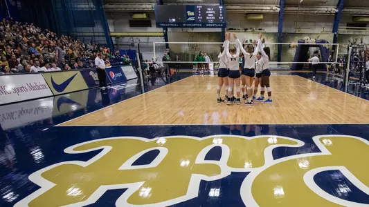Pitt Volleyball Team