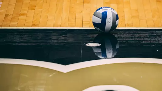 Pitt Volleyball Stock
