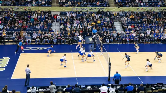 Pitt Volleyball Team, Petersen Events Center