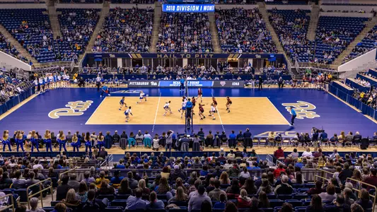 Pitt Volleyball Team, Petersen Events Center