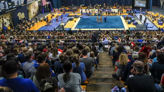 Pitt Gymnastics Team
