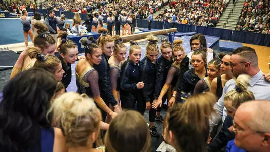Team