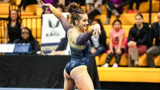 Haley Brechwald
