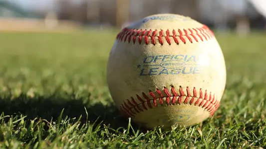 Pitt Baseball Ball