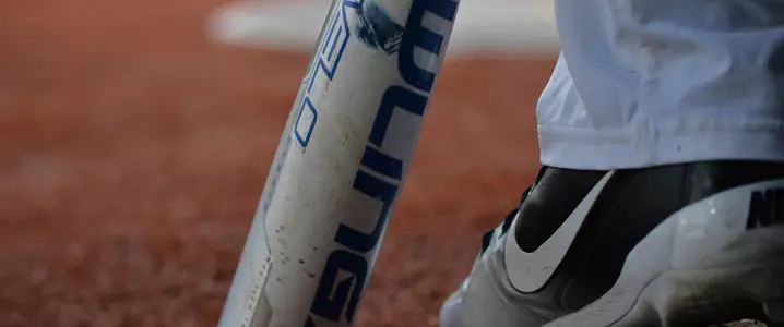 Baseball Cleat Bat