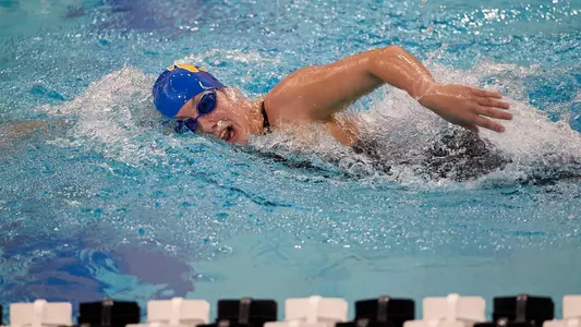 Pitt Swimming at Purdue