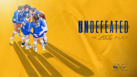 Pitt Volleyball Undefeated