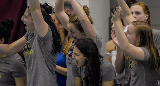 Pitt Swimming ACCs