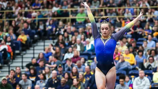 Haley Brechwald