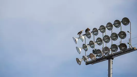 Baseball Lights Tower