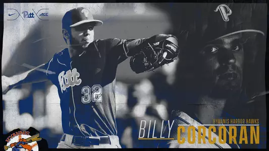 2019 Cape Cod League Graphic