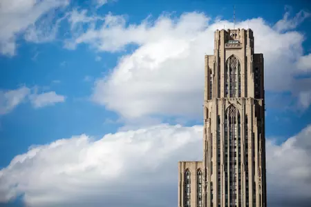 catheral of learning