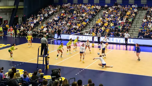 Pitt Volleyball Team