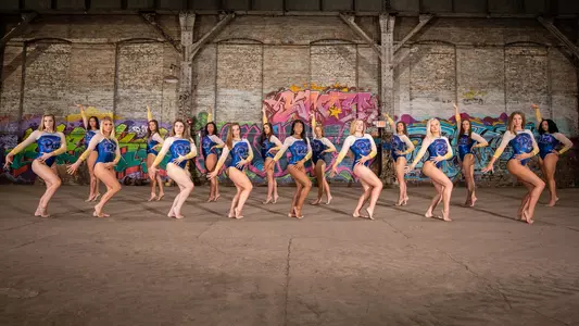 Pitt Gymnastics Team