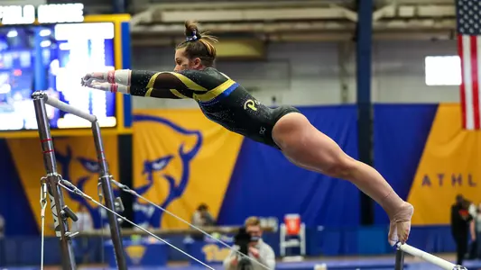 Haley Brechwald