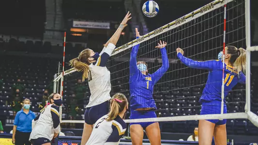 Pitt Volleyball Team