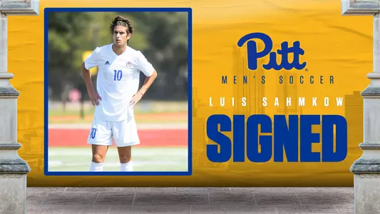Luis Sahmkow NLI Graphic