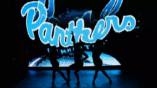 Pitt Gymnastics Team