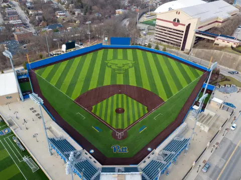 base field 2