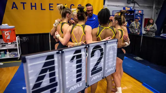 Pitt Gymnastics Team