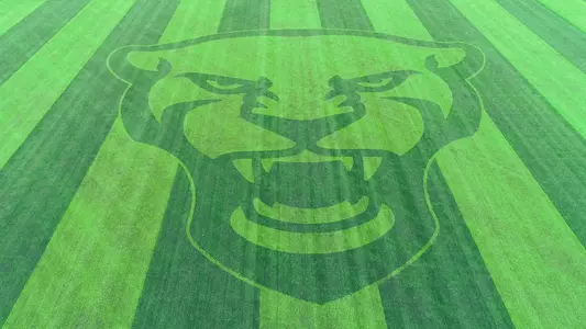 Baseball Panther Head