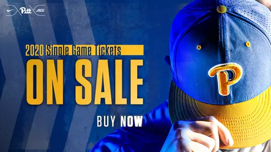 Baseball Ticket Graphic