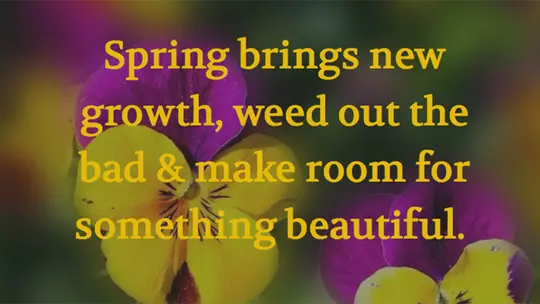 Spring Quote