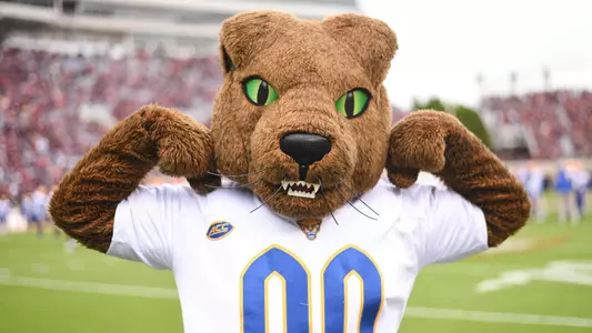 Roc the Panther