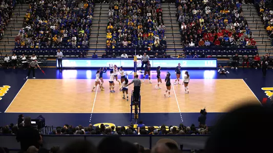 Pitt Volleyball Team, Fitzgerald Field House