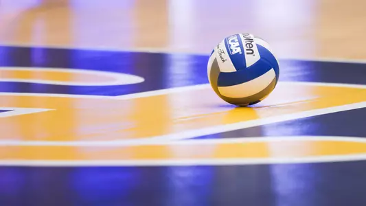 Pitt Volleyball Team Stock
