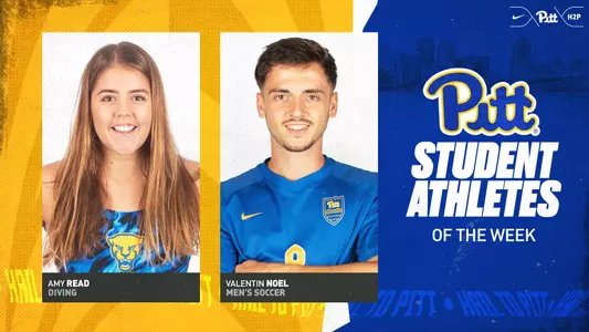 Amy Read, Valentin Noel