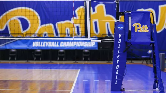 Pitt Gymnastics Team, Stock