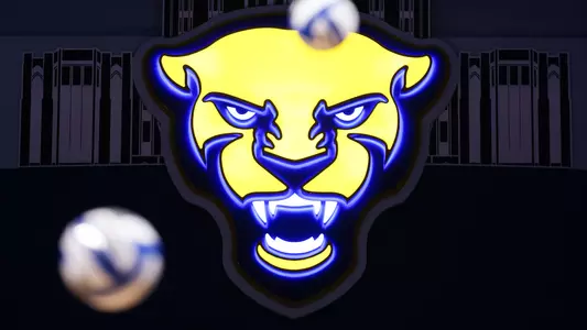 Pitt Volleyball Team, Stock