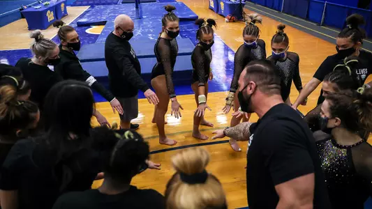 Pitt Gymnastics Team