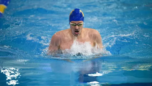 Cooper van der Laan