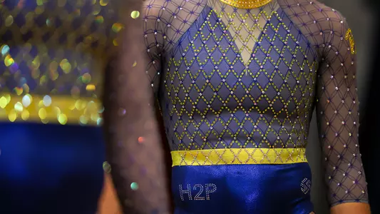 Pitt Gymnastics Team, Stock