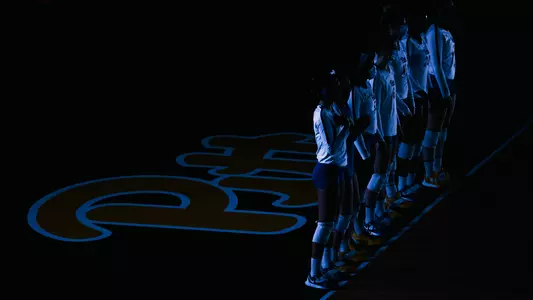 Pitt Volleyball Team