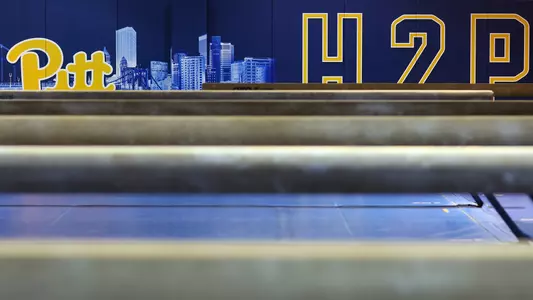 Pitt Gymnastics Team, Stock