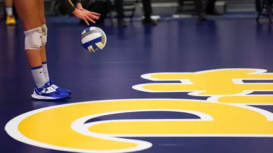 Pitt Volleyball Team Stock