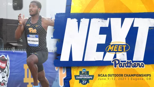 Next - NCAA's