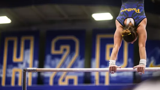 Pitt Gymnastics Team, Stock