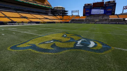 Logo on Heinz Field Grass