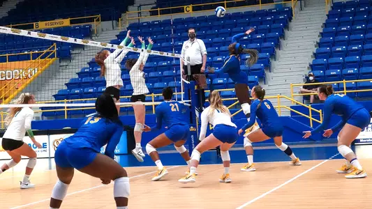 Pitt Volleyball Team